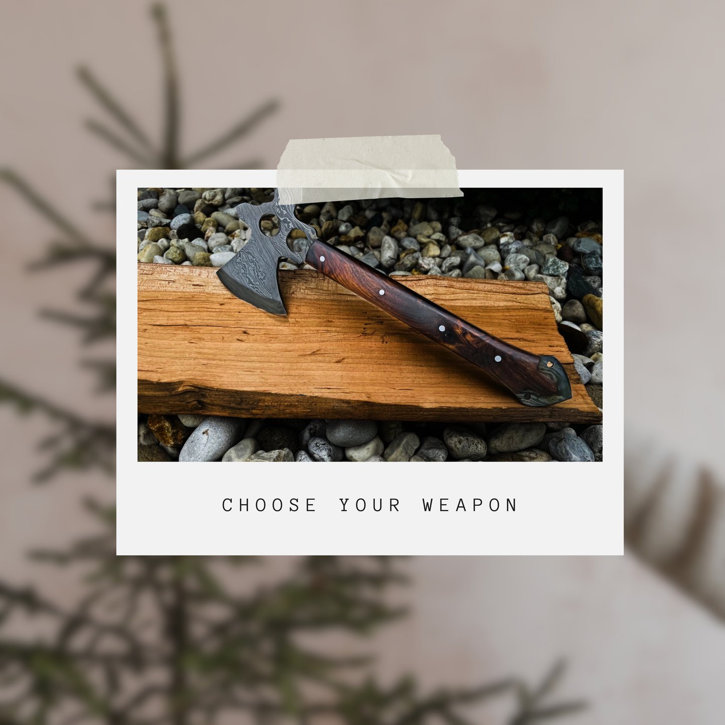 Silvercrest Champions' Guild: Take Your Weapon