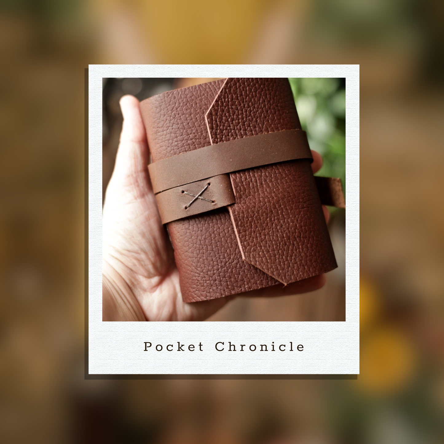 Francis Donahue's Pocket Chronicle
