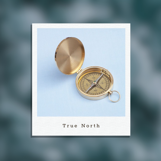 Reginald Skymantle's Heart's True North: Aurelia's Compass