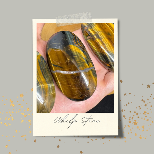 Reginald's Whelp Stone: A Journey Carried