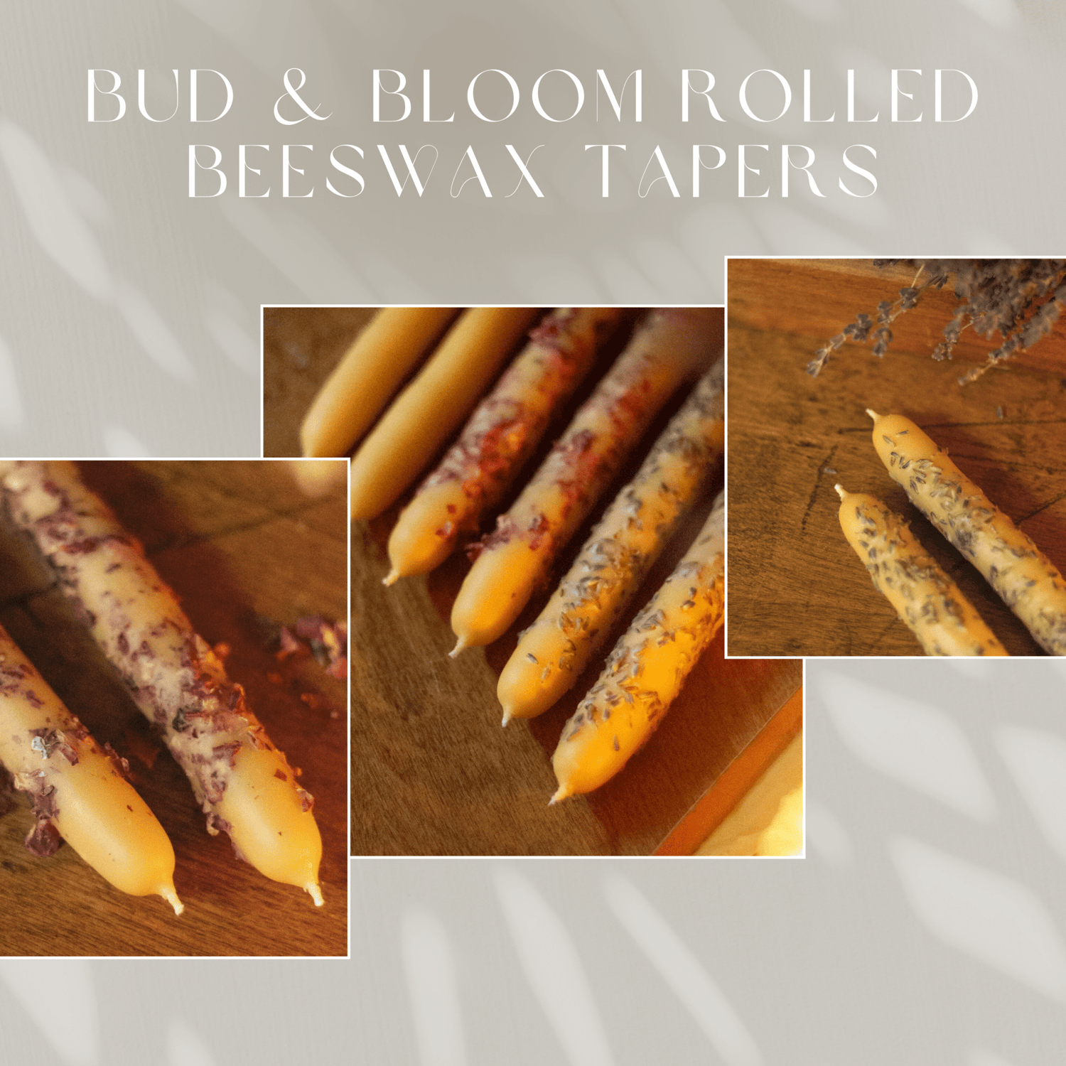 Bud & Bloom Rolled Spring Beeswax Tapers - Myth & Ink: Worlds of C.A. Smith