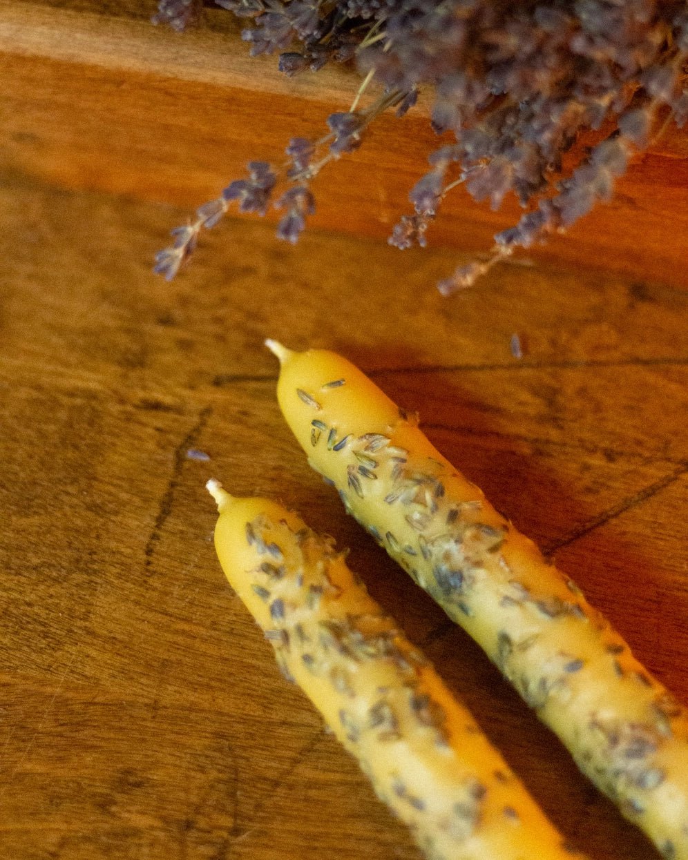 Bud & Bloom Rolled Spring Beeswax Tapers - Myth & Ink: Worlds of C.A. Smith