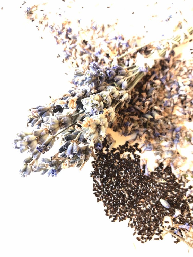 Candace's Seeds of Restoration: Pollinator's Promise & Healer's Calm - Myth & Ink: Worlds of C.A. Smith