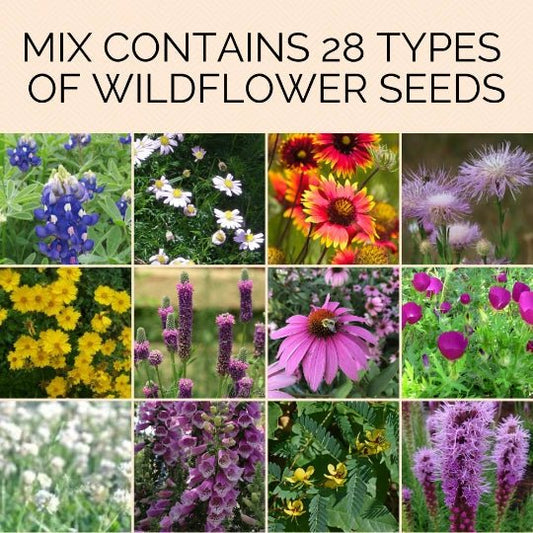 Candace's Seeds of Restoration: Pollinator's Promise & Healer's Calm - Myth & Ink: Worlds of C.A. Smith