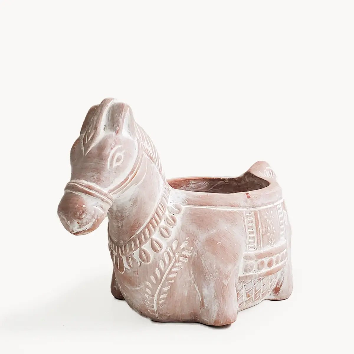 Clever Animals Terracotta Herb Pots - Myth & Ink: Worlds of C.A. Smith