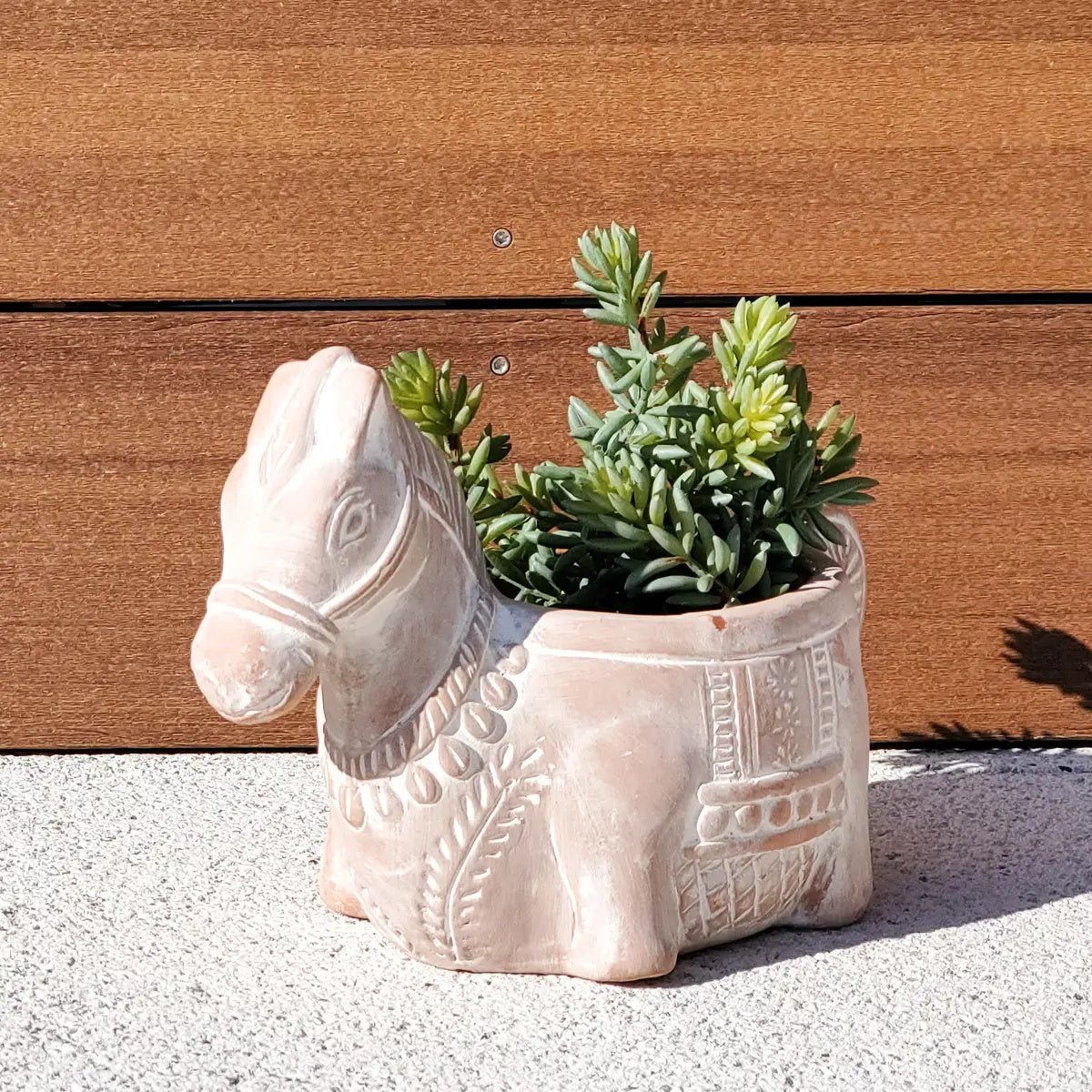 Clever Animals Terracotta Herb Pots - Myth & Ink: Worlds of C.A. Smith