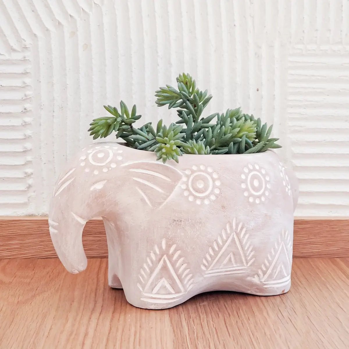 Clever Animals Terracotta Herb Pots - Myth & Ink: Worlds of C.A. Smith