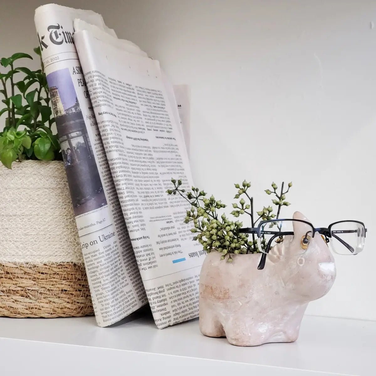 Clever Animals Terracotta Herb Pots - Myth & Ink: Worlds of C.A. Smith