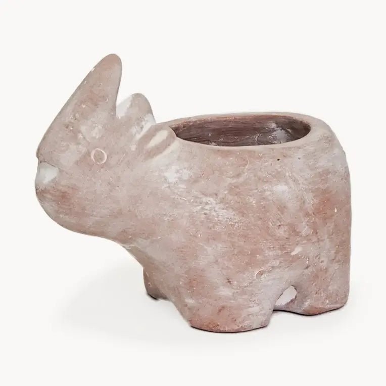 Clever Animals Terracotta Herb Pots - Myth & Ink: Worlds of C.A. Smith