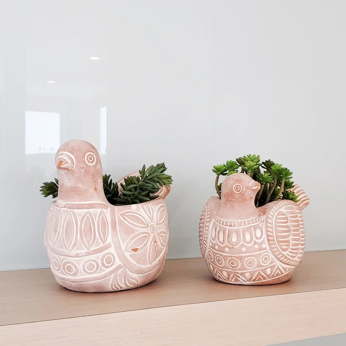 Clever Animals Terracotta Herb Pots - Myth & Ink: Worlds of C.A. Smith