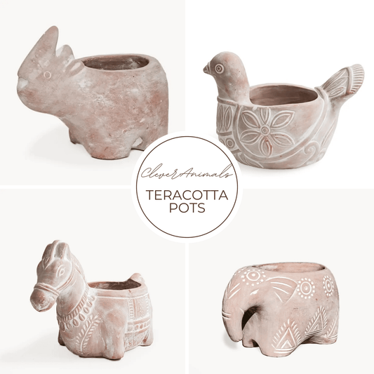 Clever Animals Terracotta Herb Pots - Myth & Ink: Worlds of C.A. Smith
