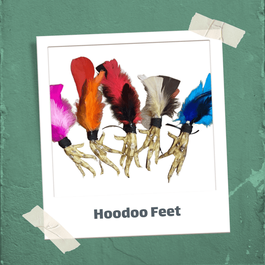 Jacolyn's Bayou Whispers: Protection's Roots - Myth & Ink: Worlds of C.A. Smith