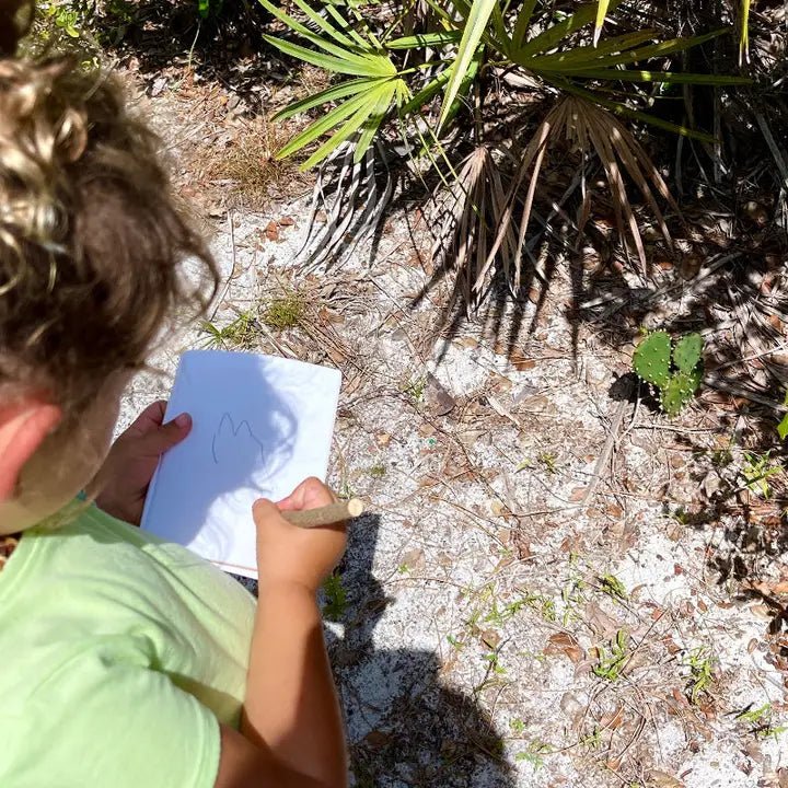 Little Hands & Nature Explorer Kit - Myth & Ink: Worlds of C.A. Smith