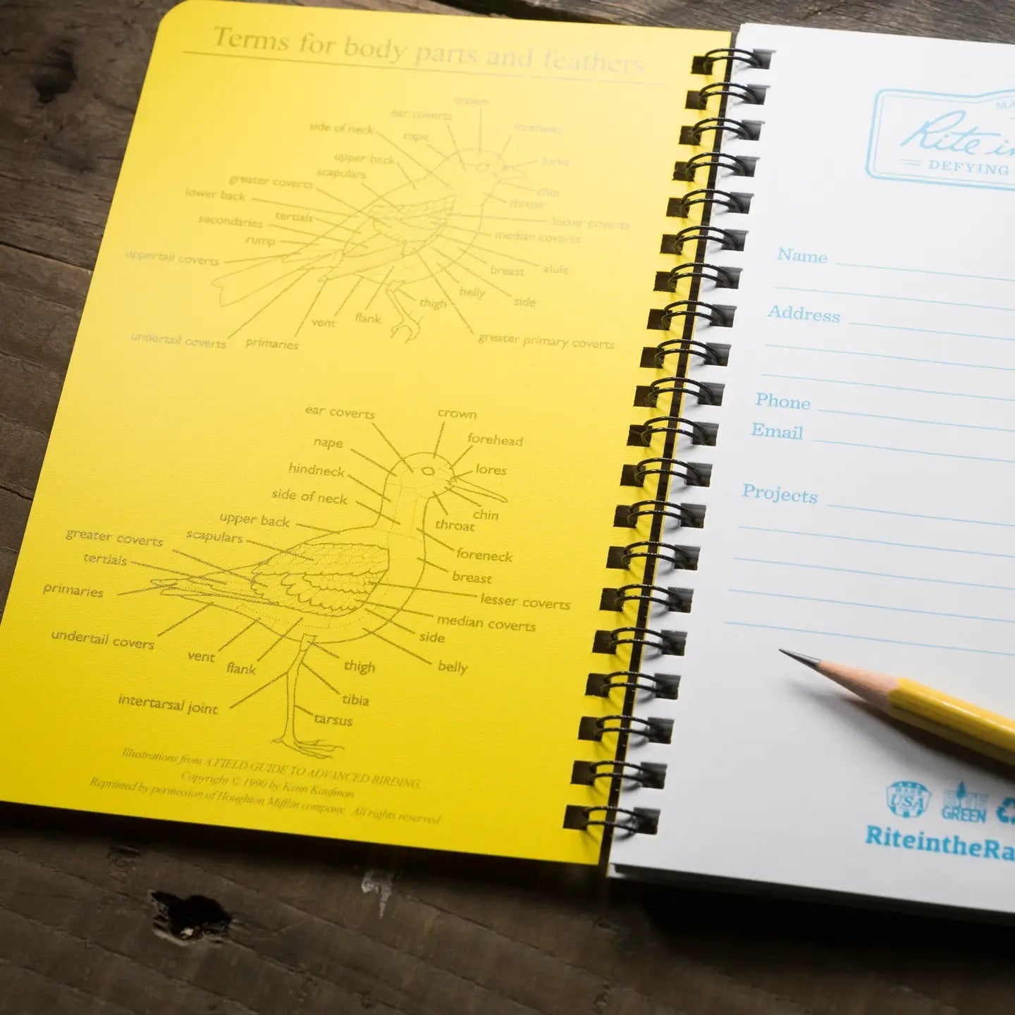 Rite Anywhere Complete Field Documentation Kit - Myth & Ink: Worlds of C.A. Smith