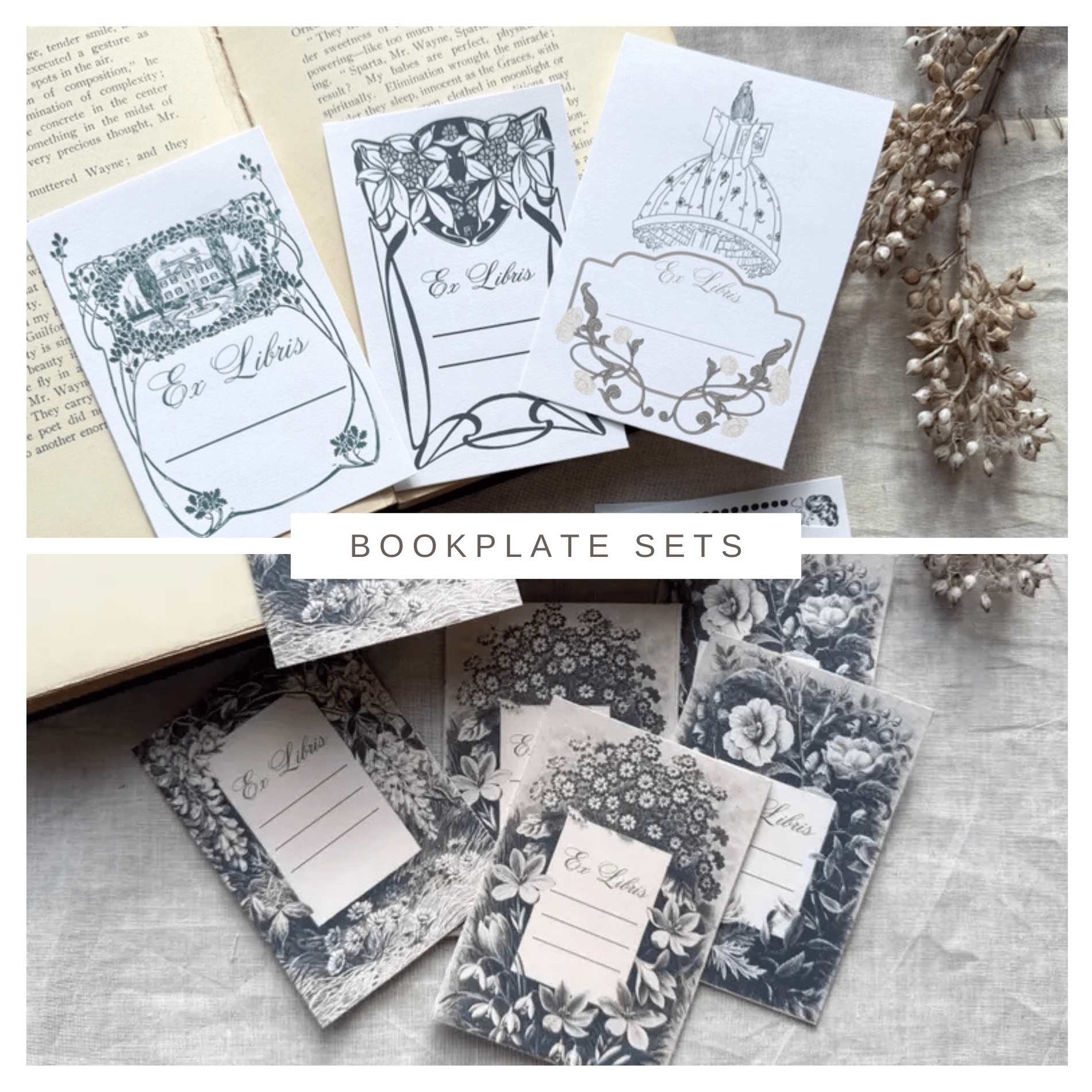 The Archivist’s Vintage Bookplate Set - Myth & Ink: Worlds of C.A. Smith