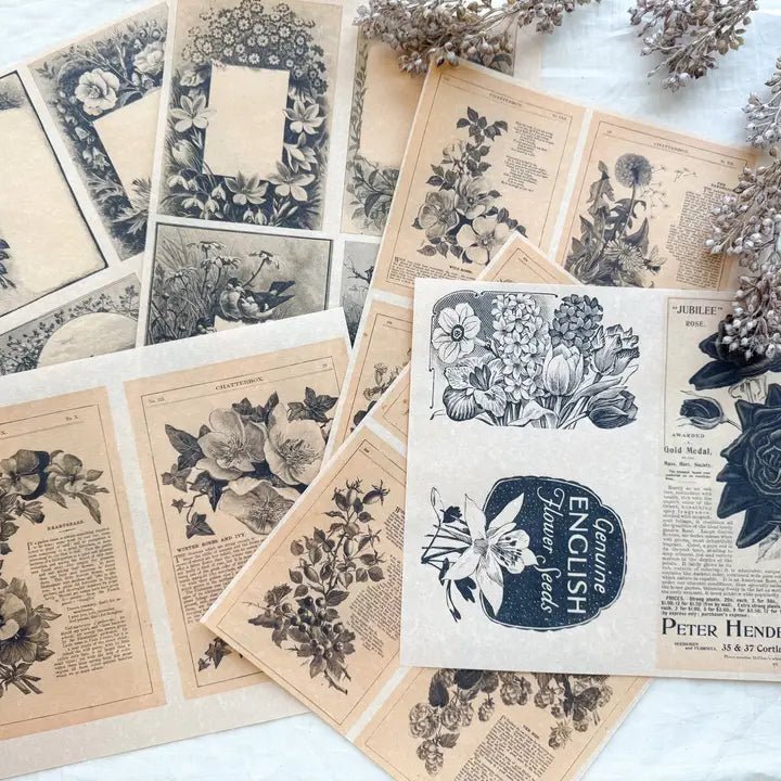 The Salvaged Story Ephemera & Page Pack - Myth & Ink: Worlds of C.A. Smith