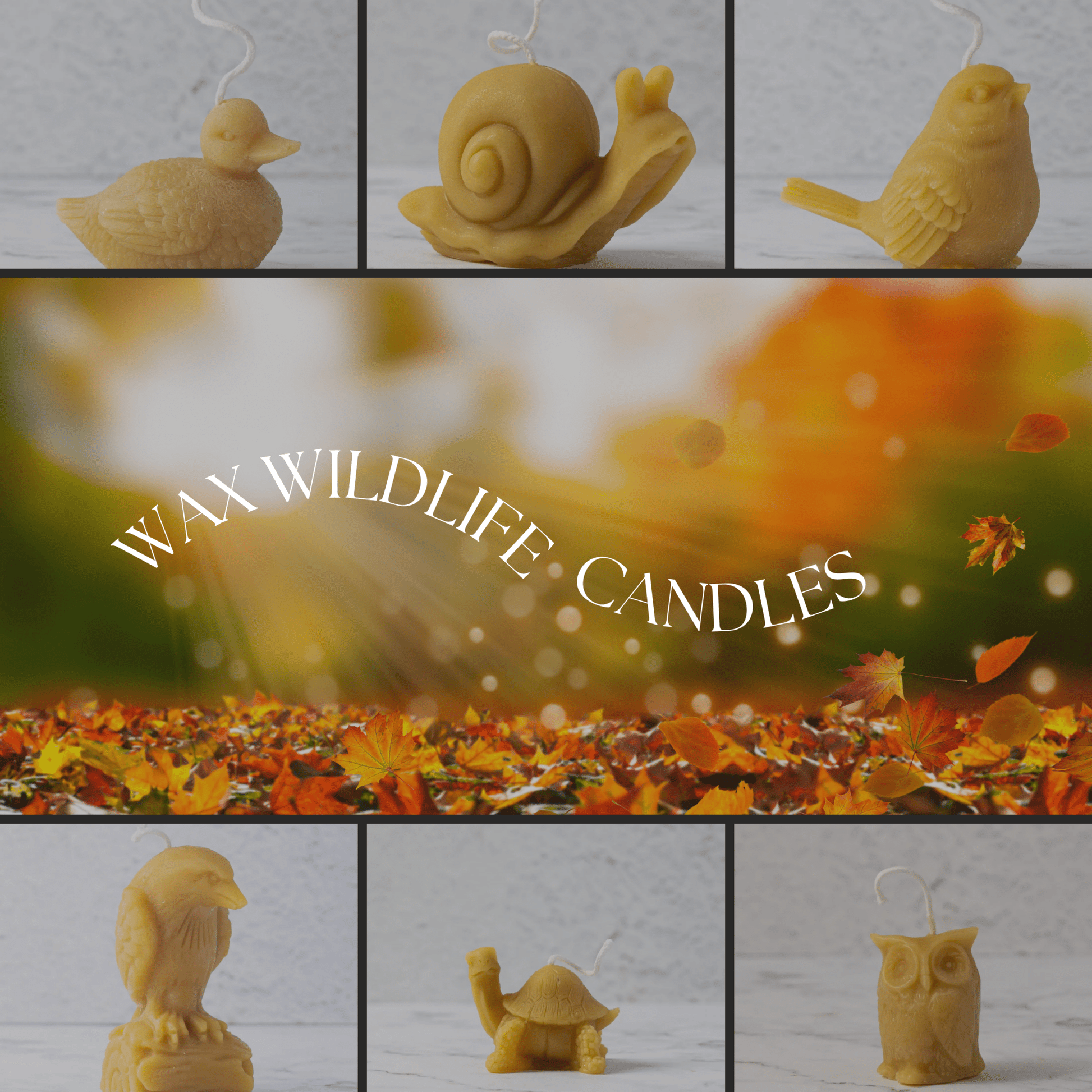 Wax Wildlife Beeswax Candles - Myth & Ink: Worlds of C.A. Smith