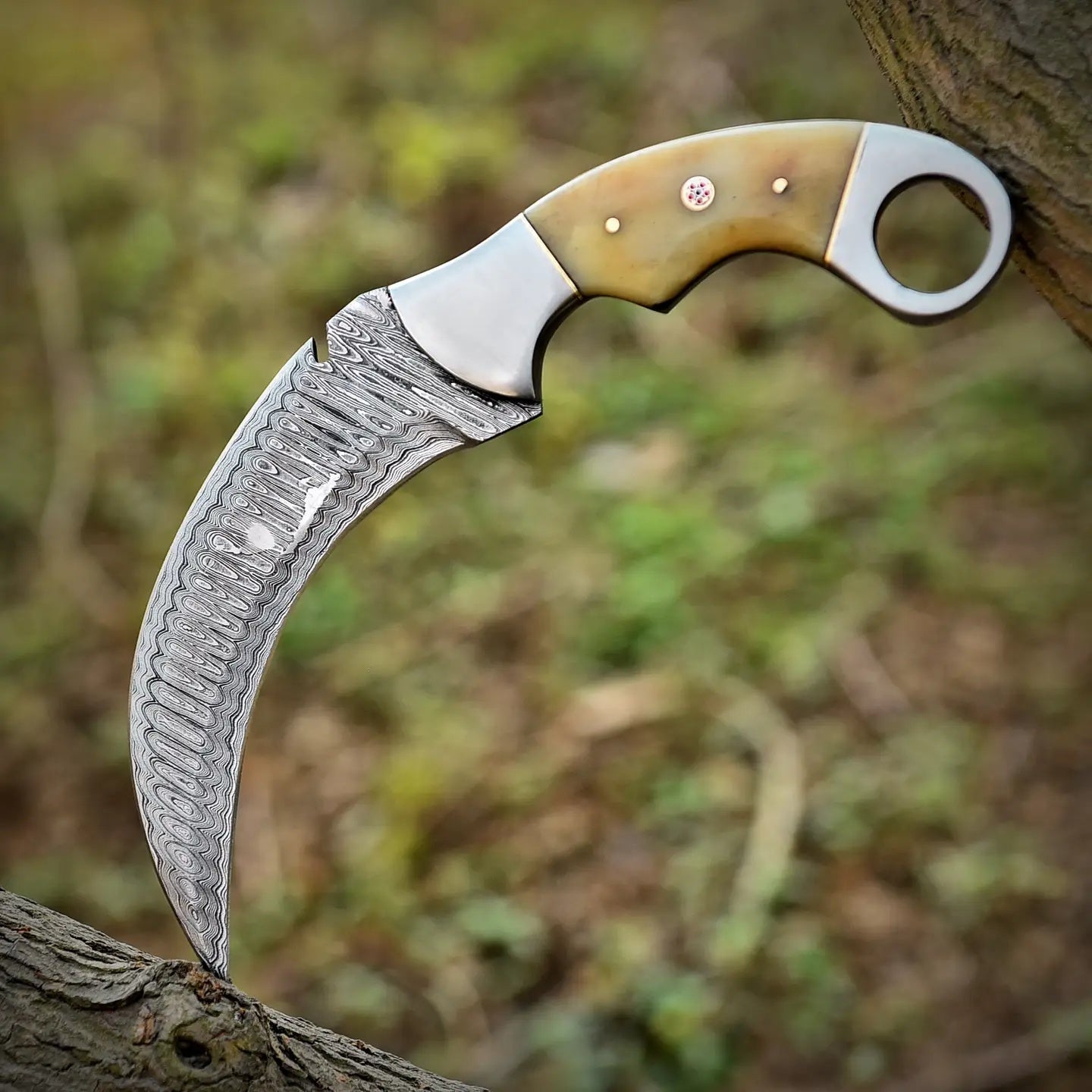 Wild Edge Steel Tools - Myth & Ink: Worlds of C.A. Smith