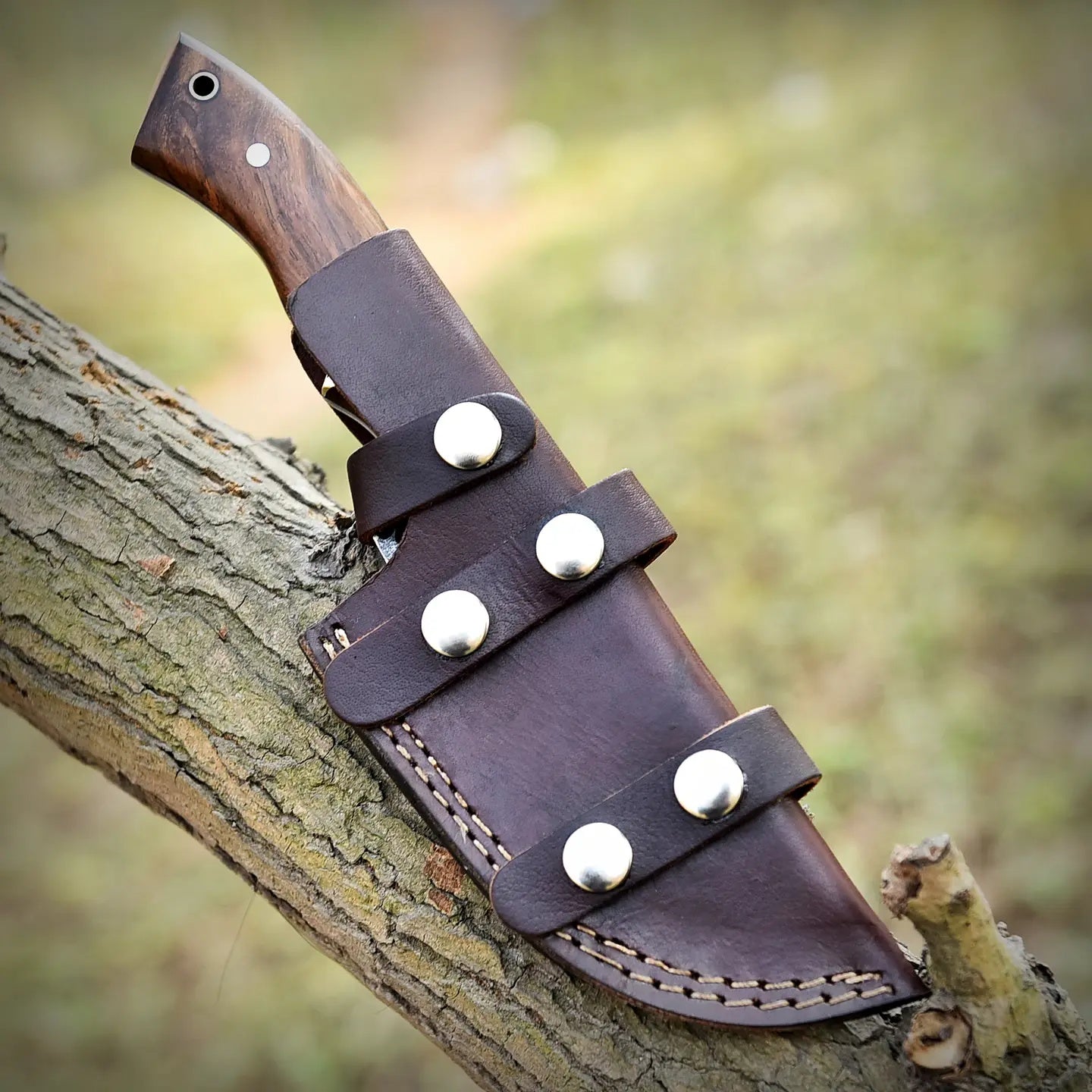 Wild Edge Steel Tools - Myth & Ink: Worlds of C.A. Smith