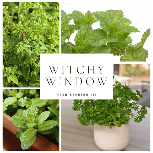 Witchy Windowsill Herb Starter Pots - Myth & Ink: Worlds of C.A. Smith