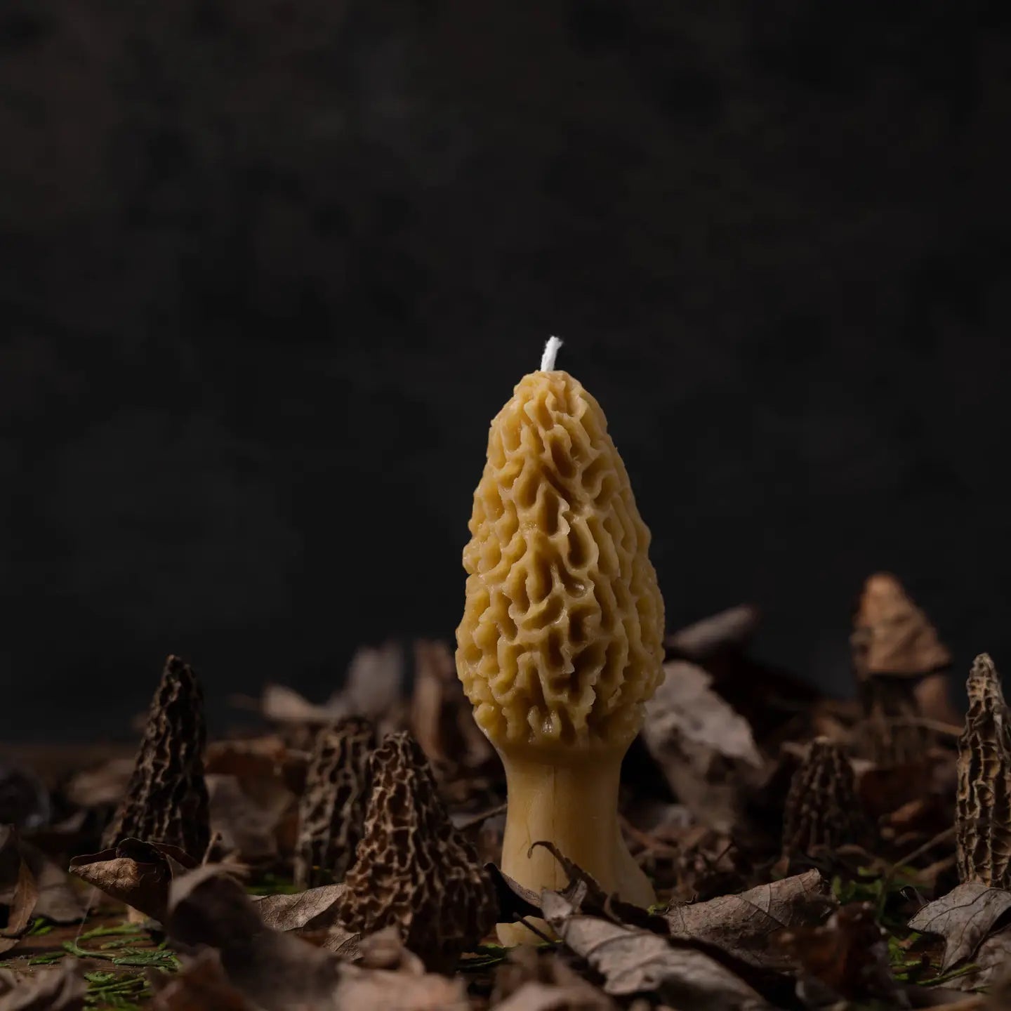 Woods' Heart Beeswax Candles - Myth & Ink: Worlds of C.A. Smith